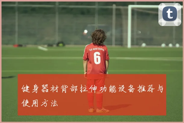 健身器材背部拉伸功能设备推荐与使用方法
