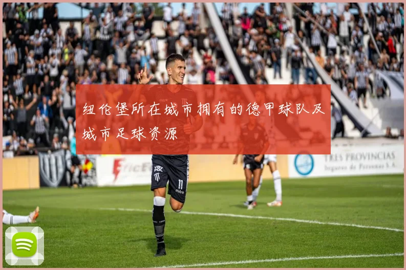 纽伦堡所在城市拥有的德甲球队及城市足球资源