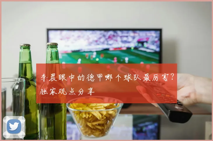 李晨眼中的德甲哪个球队最厉害？独家观点分享