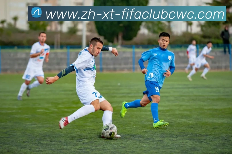 多媒体互动体验